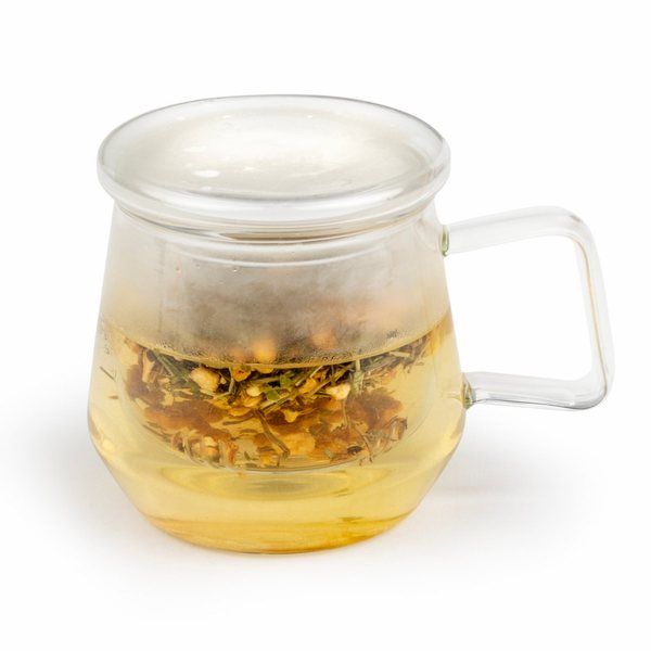 Bredemeijer Livorno Tea for One Glass Cup 350ml – Clear