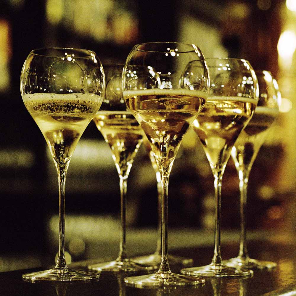 Italesse Grand Balloon Champagne Glasses, Set of 6 – 380ml – image 4
