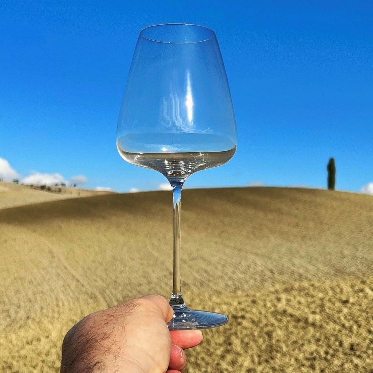 Italesse T Made 70 Red Wine Glasses 710ml, Set of 6 – image 2