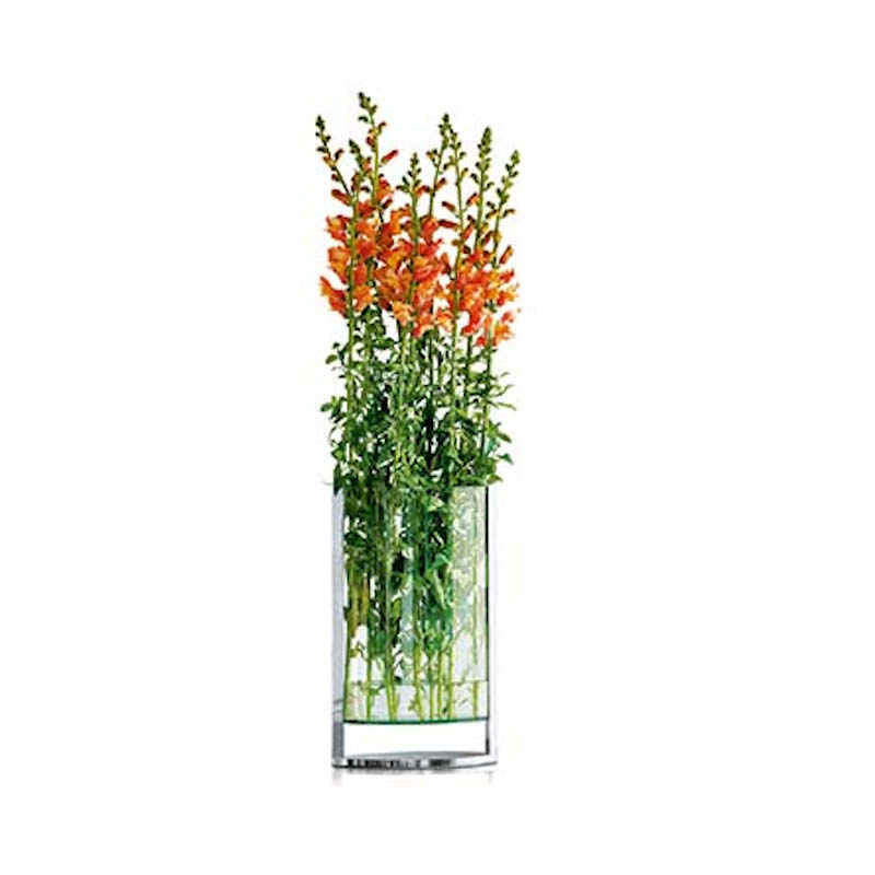 Philippi Decade Large Floating Glass Vase – Chrome & Glass – image 4