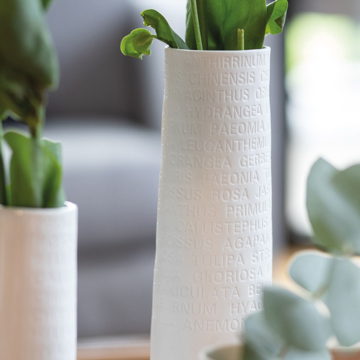 Räder Poetry Tall Porcelain Vase with Embossed Flower Names – image 2