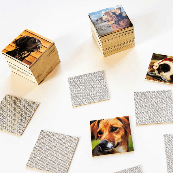 Remember Dogs Memory Matching Pairs Game