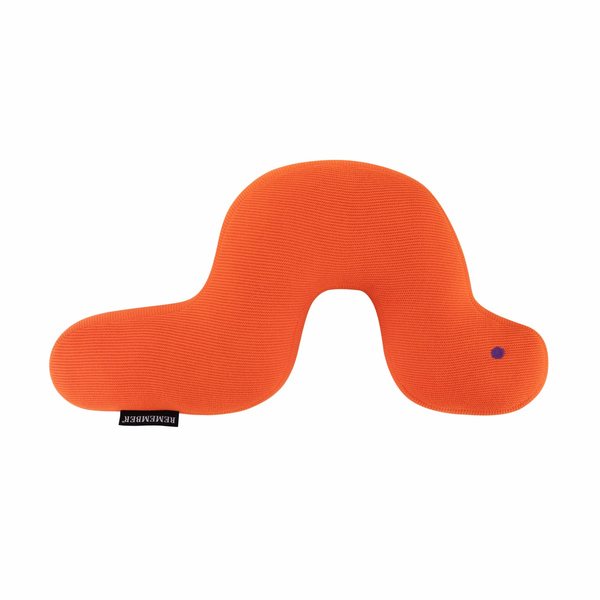 Remember Frieda the Caterpillar Organic Cotton Cuddle Cushion